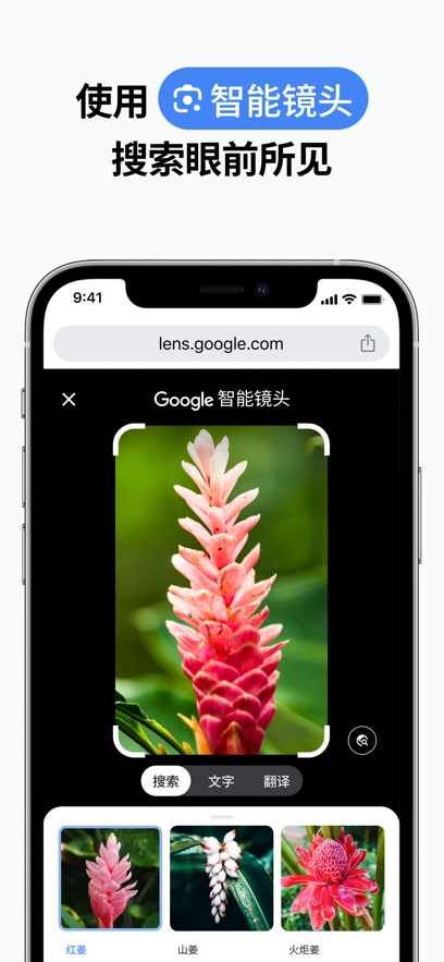 谷歌浏览器截图1