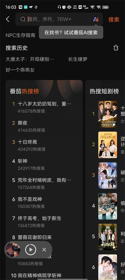 番茄免费小说截图2