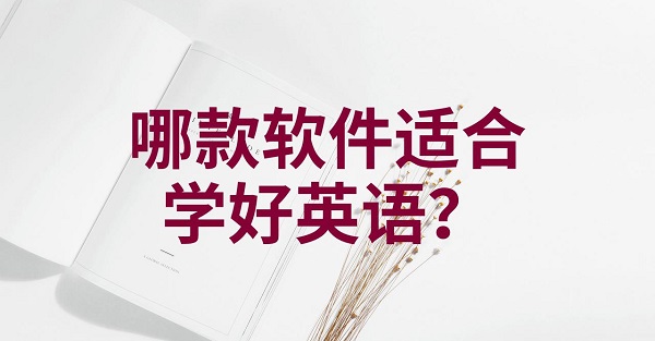 学英语软件大全