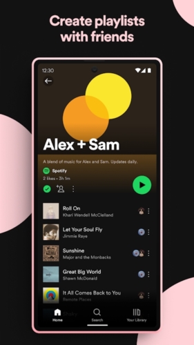 spotify截图4