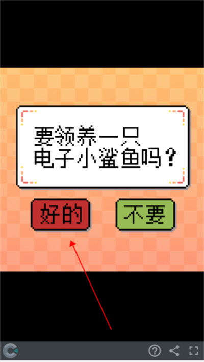 我的小鲨鱼
