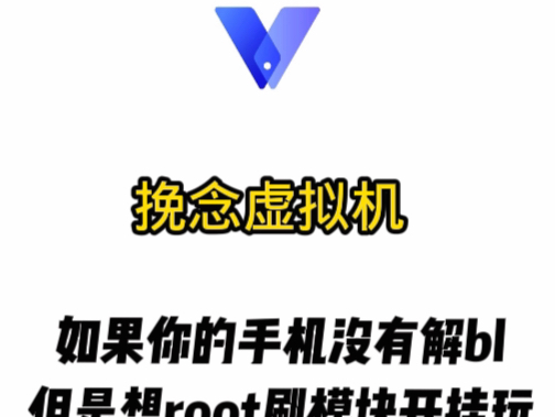 挽念虚拟机截图4