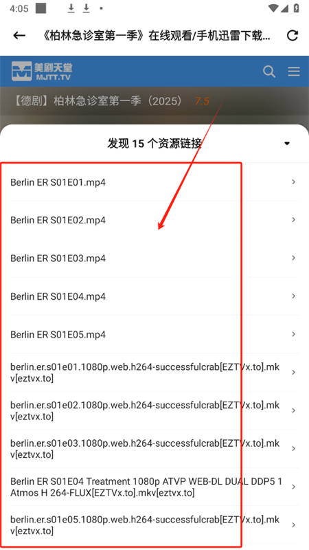 磁力猫