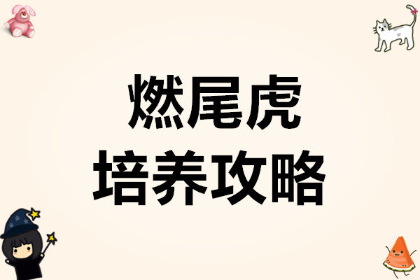 米姆米姆哈燃尾虎培养攻略
