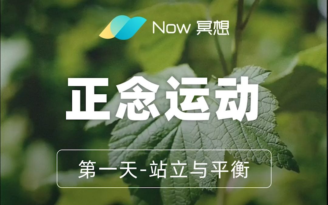Now冥想截图4