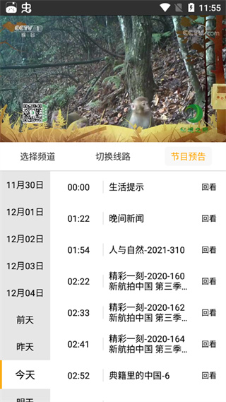 手机电视高清直播