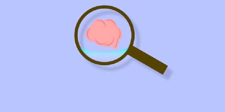 好用的搜索软件有哪些