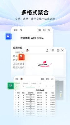 WPS截图3