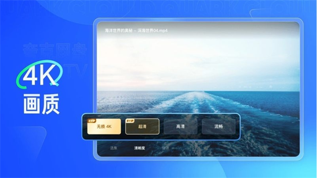 夸克网盘tv版截图4