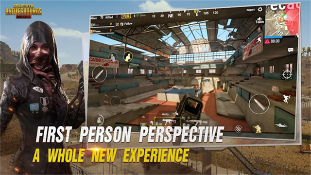 BETA PUBG MOBILE截图4