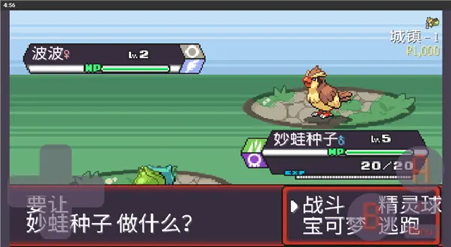 宝可梦肉鸽截图2