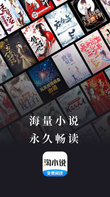 淘小说