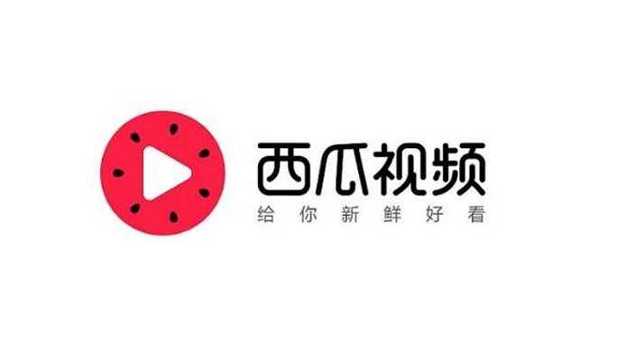 西瓜视频版本大全