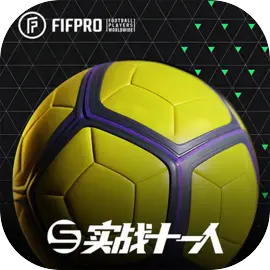 实战十一人