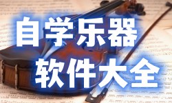 自学乐器软件大全