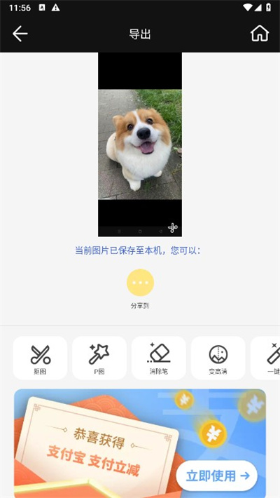 大神P图