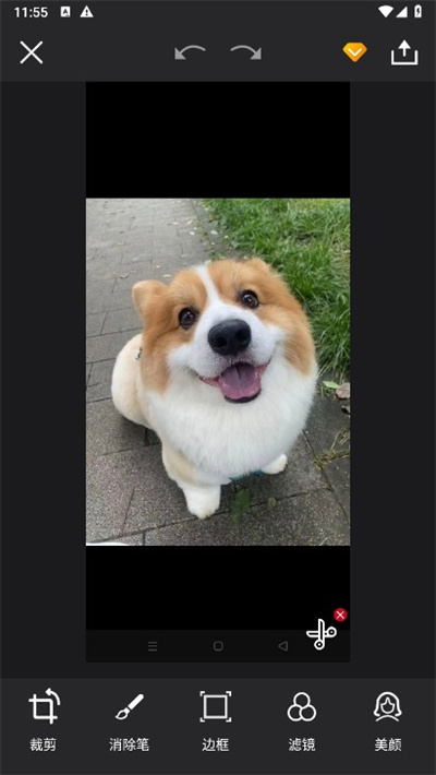 大神P图