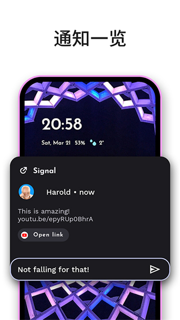 niagara launcher截图1