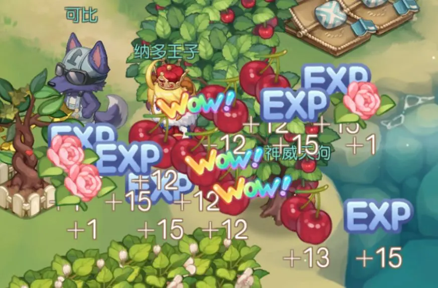 奥比岛梦想国度