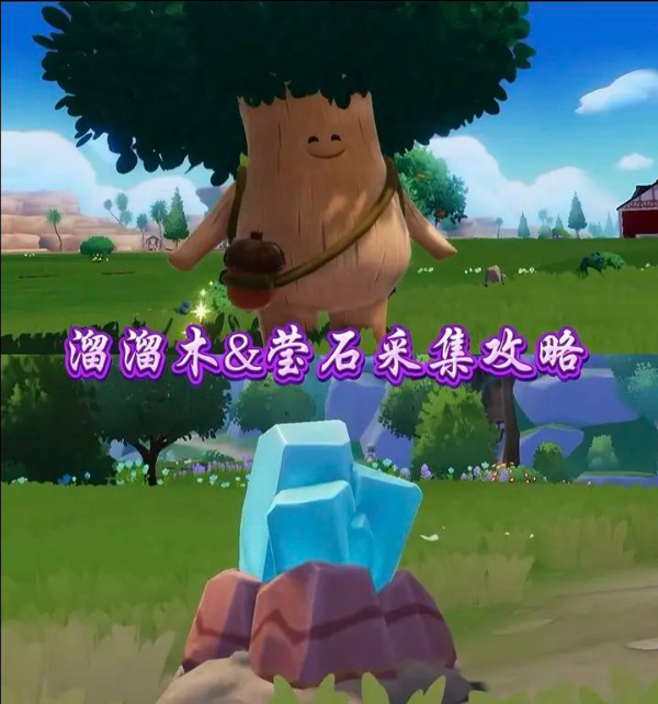 11月12日心动小镇溜溜橡木和无暇荧石位置