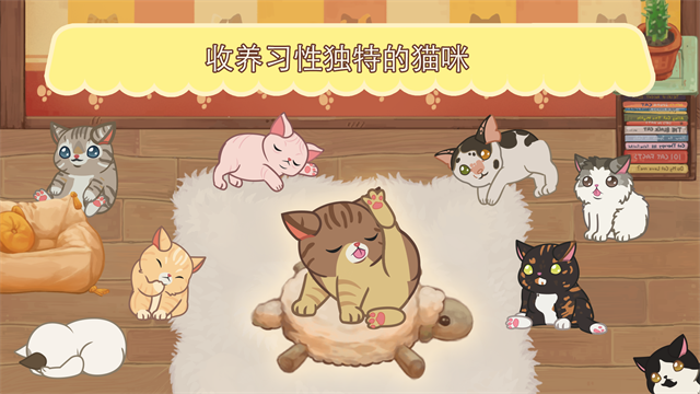 绒毛猫咖啡厅