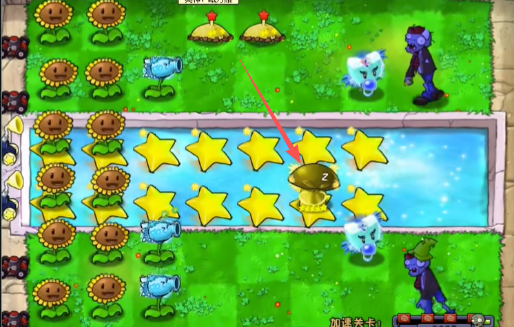 植物大战僵尸杨桃版