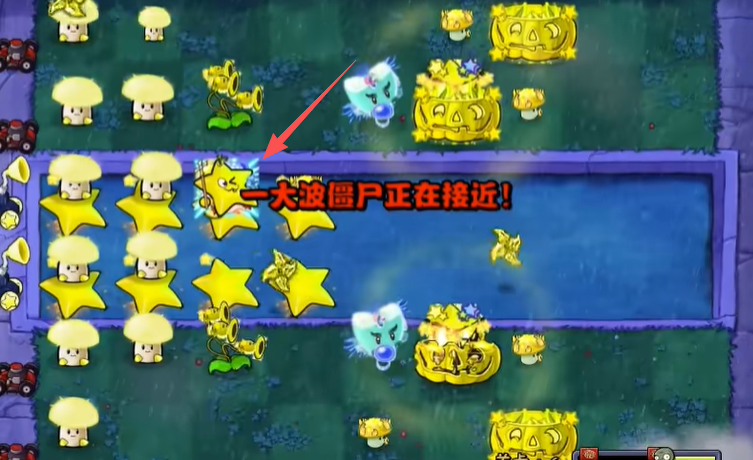 植物大战僵尸杨桃版