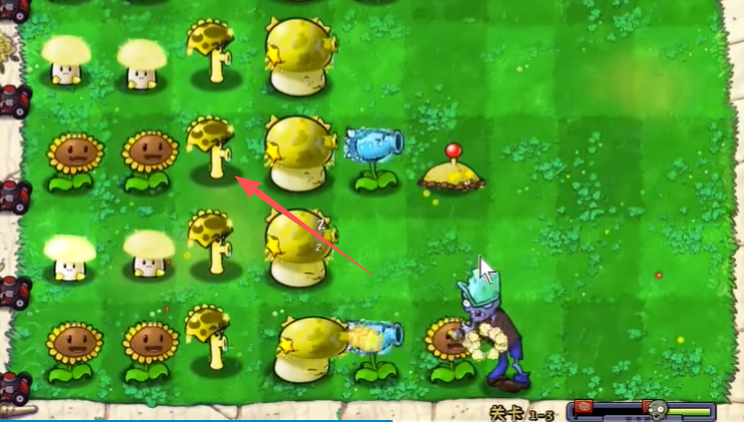 植物大战僵尸杨桃版