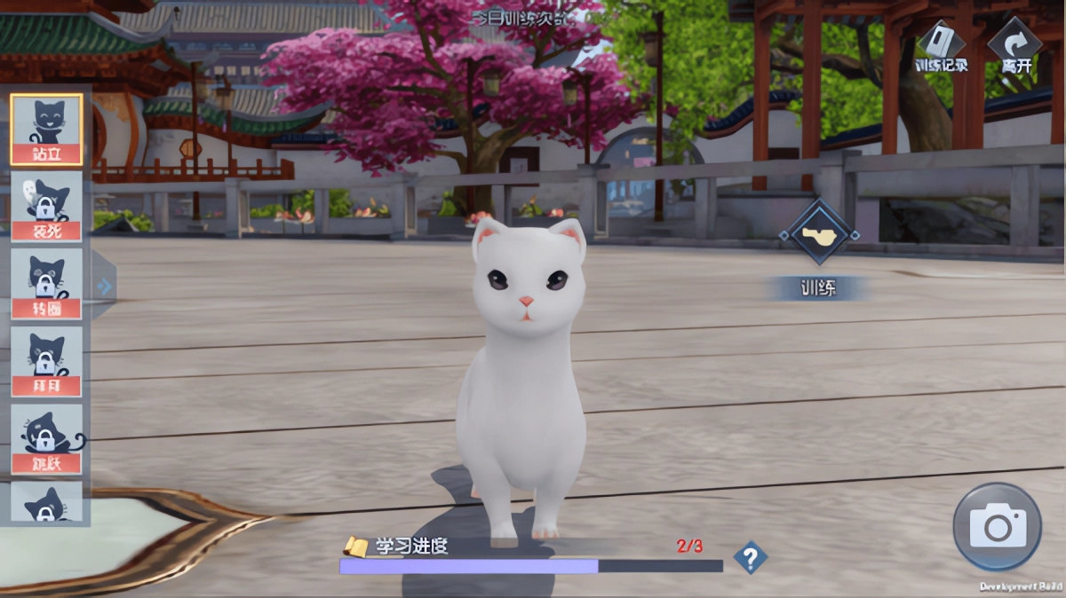 浮生为卿歌