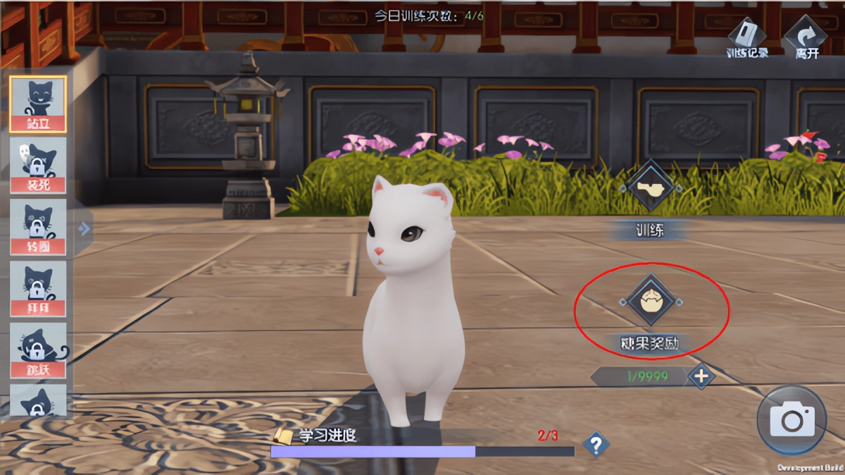浮生为卿歌