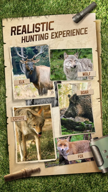 狩猎狙击手截图4