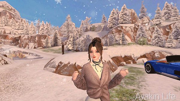 Avakin Life