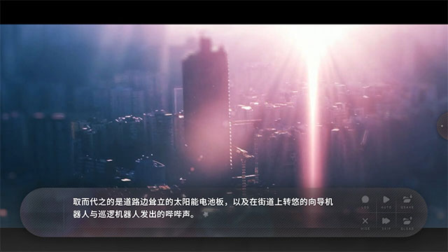 夏末盛开的花截图1