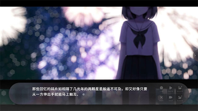 夏末盛开的花截图4