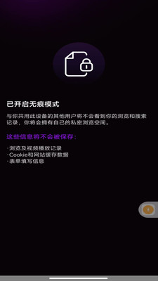 GV浏览器截图2