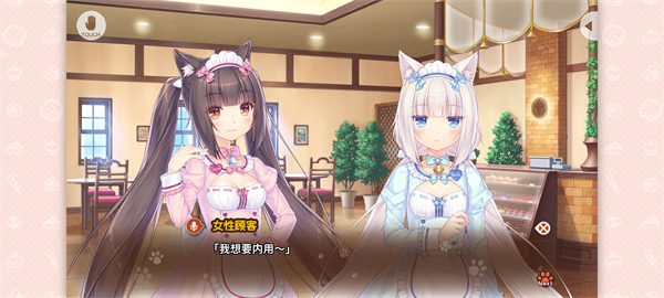 猫娘乐园4