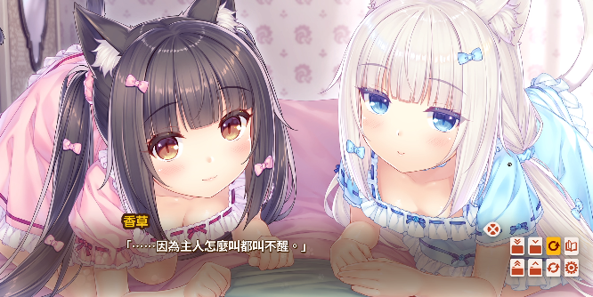 猫娘乐园4