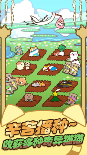 猫咪田园截图4